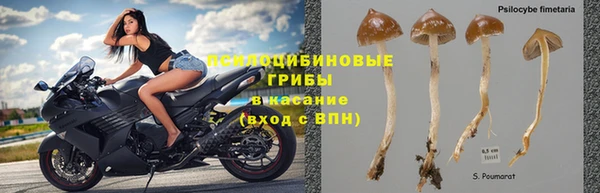 PSILOCYBIN Арсеньев