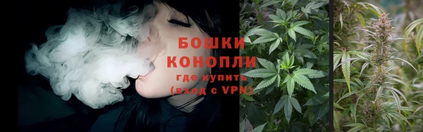 спиды Аркадак