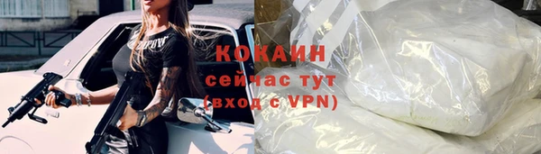 дживик Белокуриха