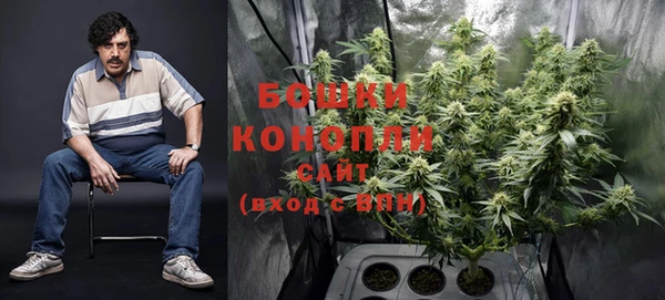 PSILOCYBIN Арсеньев