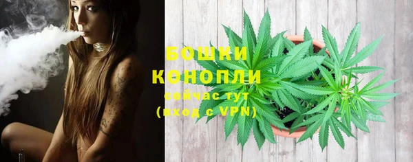 PSILOCYBIN Арсеньев