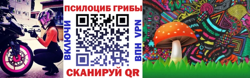 наркота  Верхняя Салда  Псилоцибиновые грибы Psilocybe 